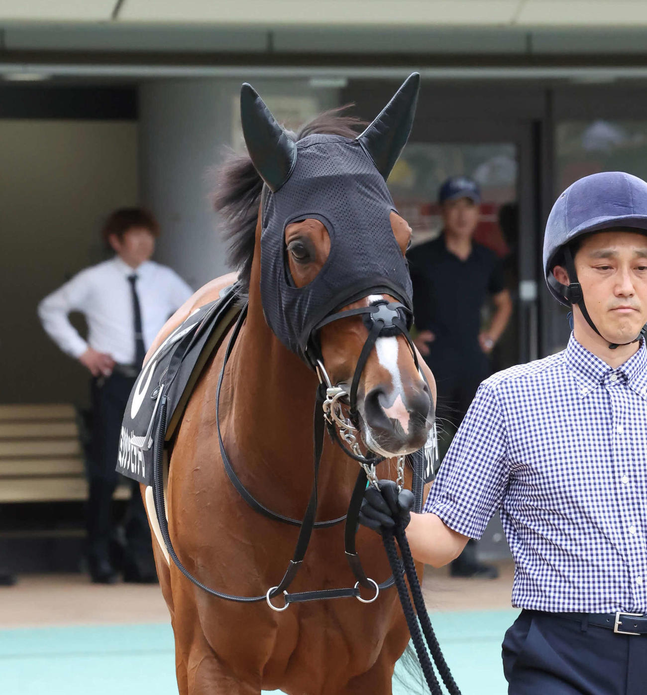 大駆けが期待されるミシシッピテソーロ