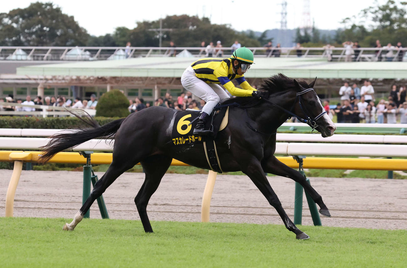 東京9R、アイビーSを制したマスカレードボールと戸崎騎手（撮影・丹羽敏通）