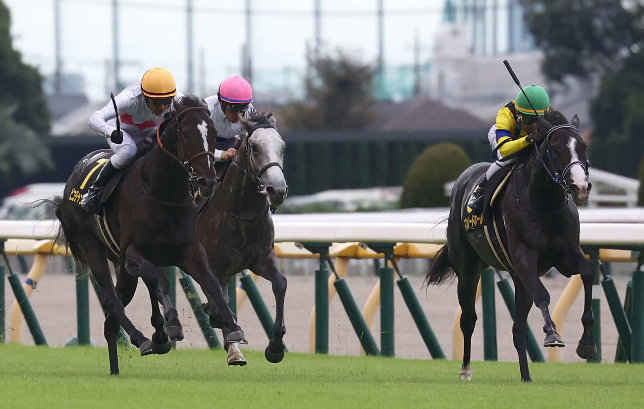 東京9R、アイビーSを制したマスカレードボールと戸崎騎手（右）。左は2着ピコチャンブラック（撮影・丹羽敏通）