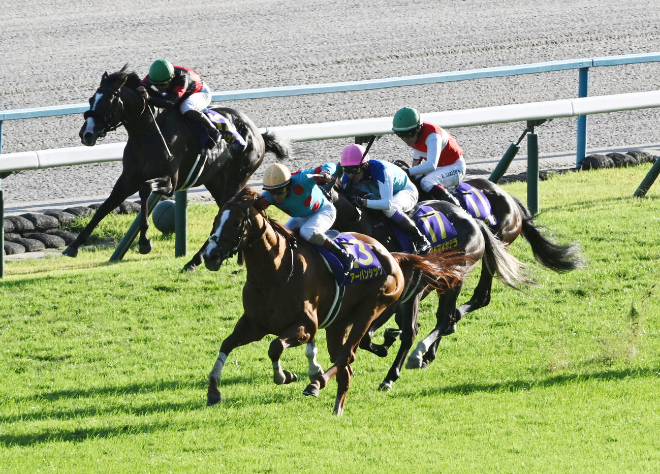直線抜け出して菊花賞を制したアーバンシック（撮影・前岡正明）