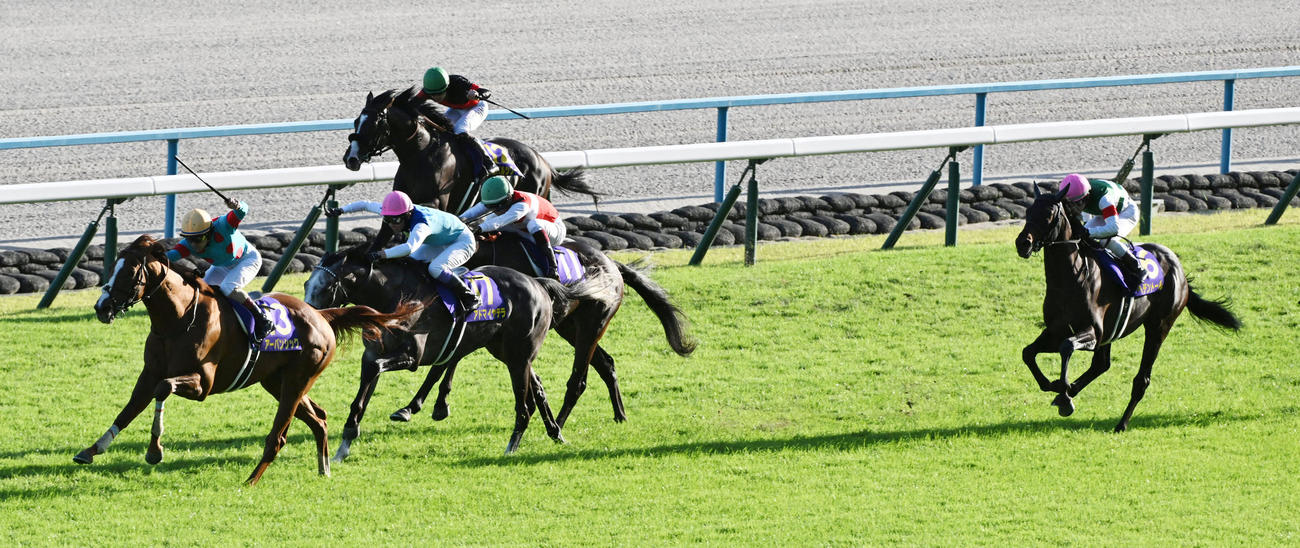 直線抜け出して菊花賞を制したアーバンシック（撮影・前岡正明）