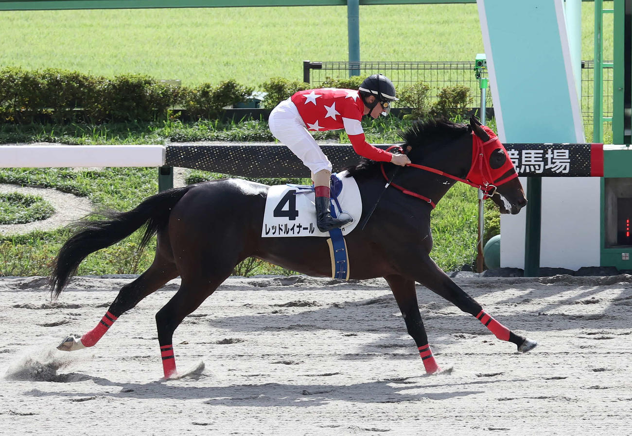 東京4R、2歳新馬戦を制したレッドルイナールとルメール騎手（撮影・丹羽敏通）