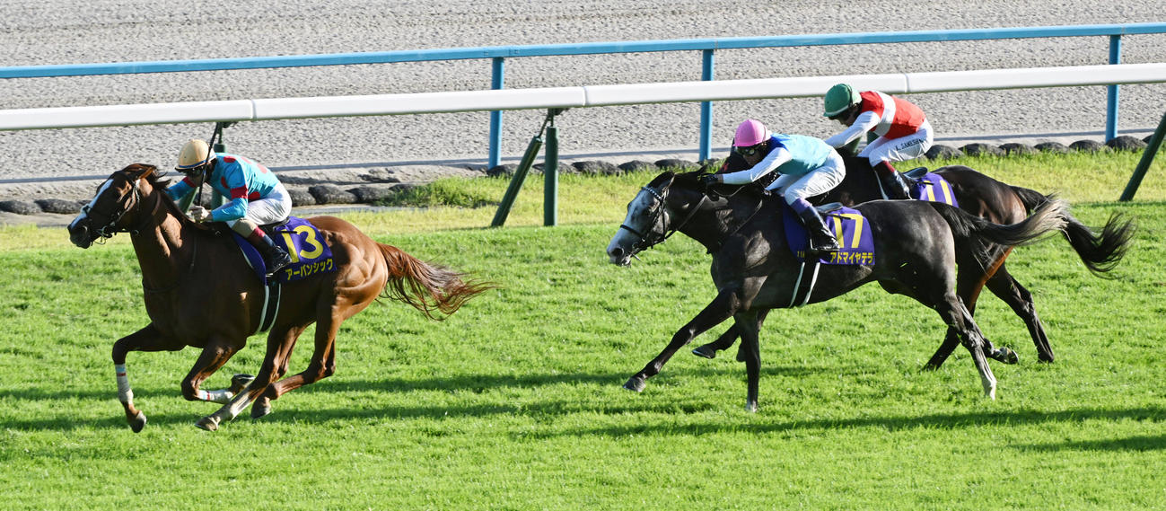 京都11R、直線抜け出して菊花賞を制したアーバンシック（撮影・前岡正明）