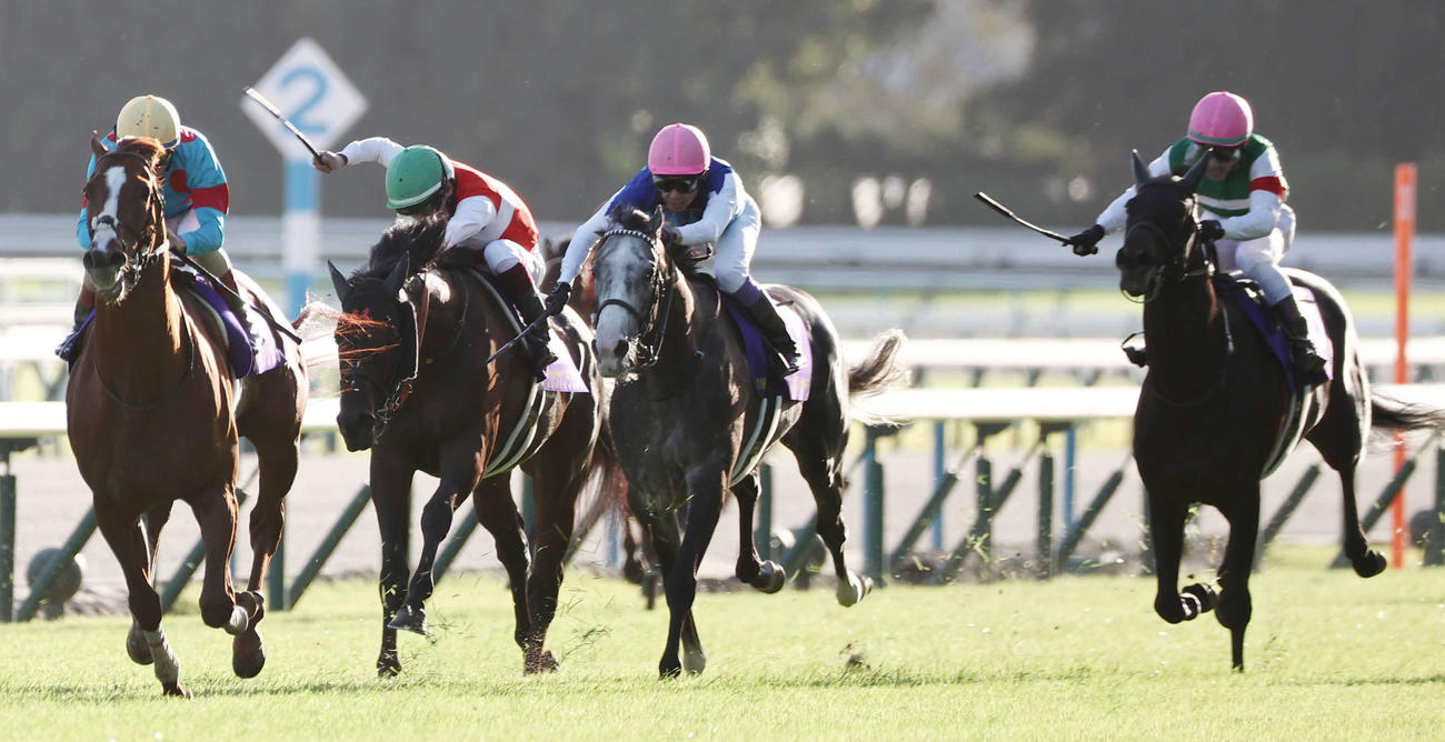京都11R、菊花賞を制したルメール騎手のアーバンシック（左）。右から2着のヘデントール、3着のアドマイヤテラ、4着のショウナンラプンタ（撮影・西尾就之）