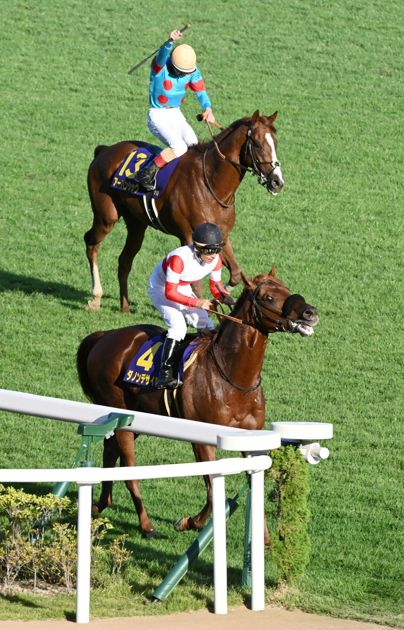 菊花賞6着に敗れたダノンデサイル。奥は1着のアーバンシック（撮影・前岡正明）
