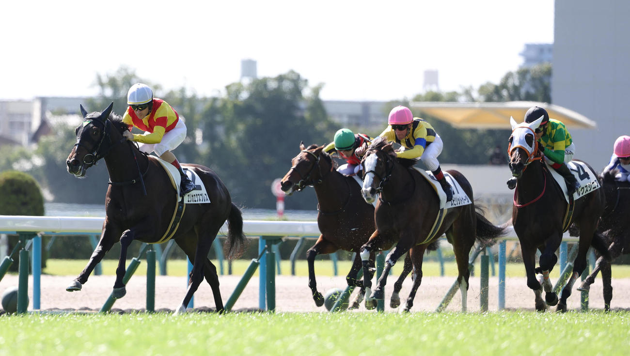 京都4R、逃げ切って新馬戦を制したエリカエクスプレス（左）（撮影・白石智彦）