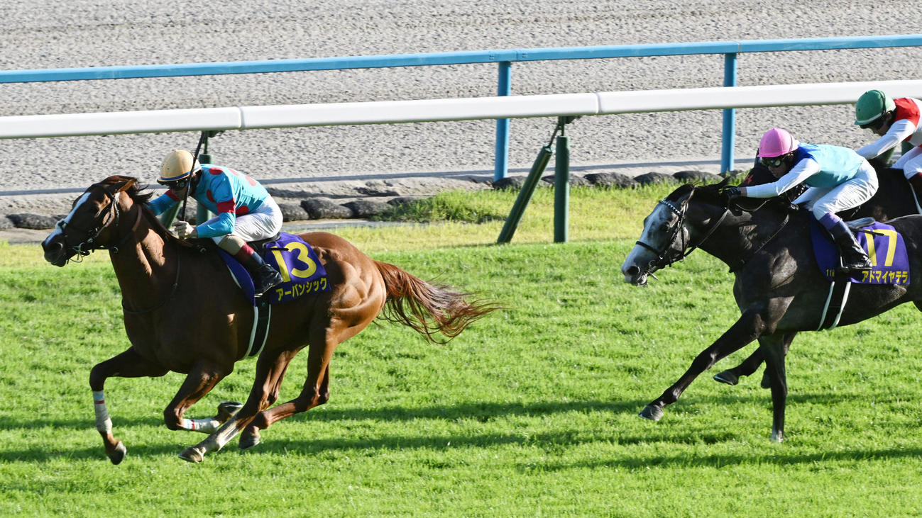 直線抜け出して菊花賞を制したアーバンシック（撮影・前岡正明）