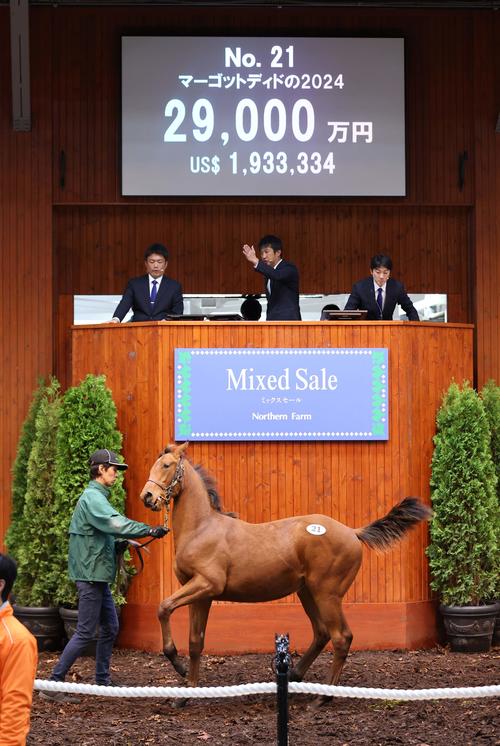 億超え10頭！ミックスセールの当歳馬落札上位ランキング／NFミックス
