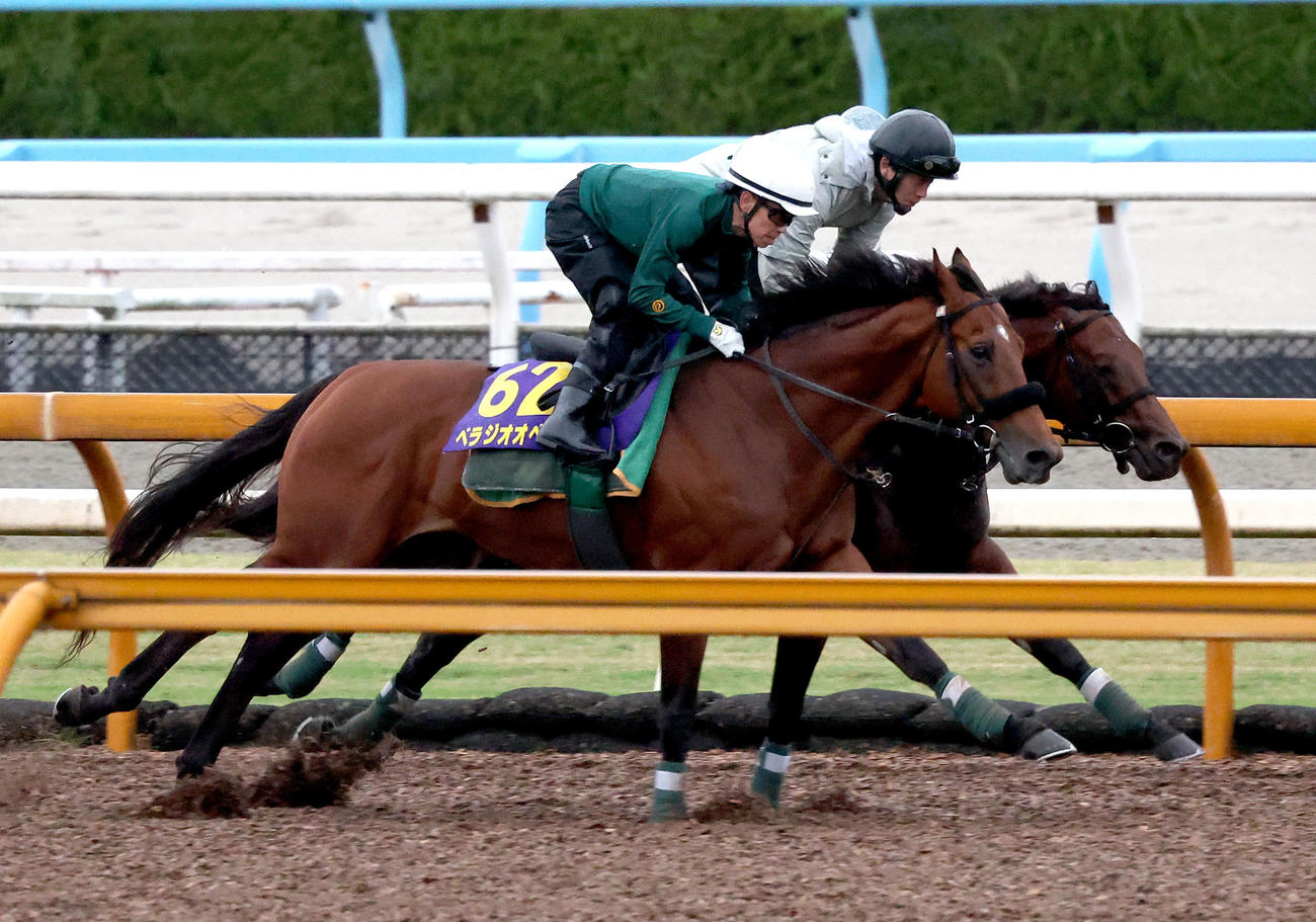 Cウッドをセオ（右）と併せ馬で追い切るベラジオオペラ（撮影・白石智彦）