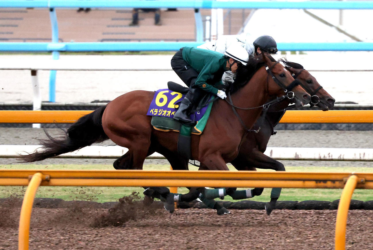 Cウッドをセオ（右）と併せ馬で追い切るベラジオオペラ（撮影・白石智彦）