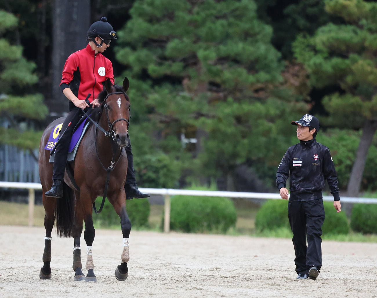 調教から引き揚げるリバティアイランドの様子を伺う川田騎手（右）（撮影・白石智彦）