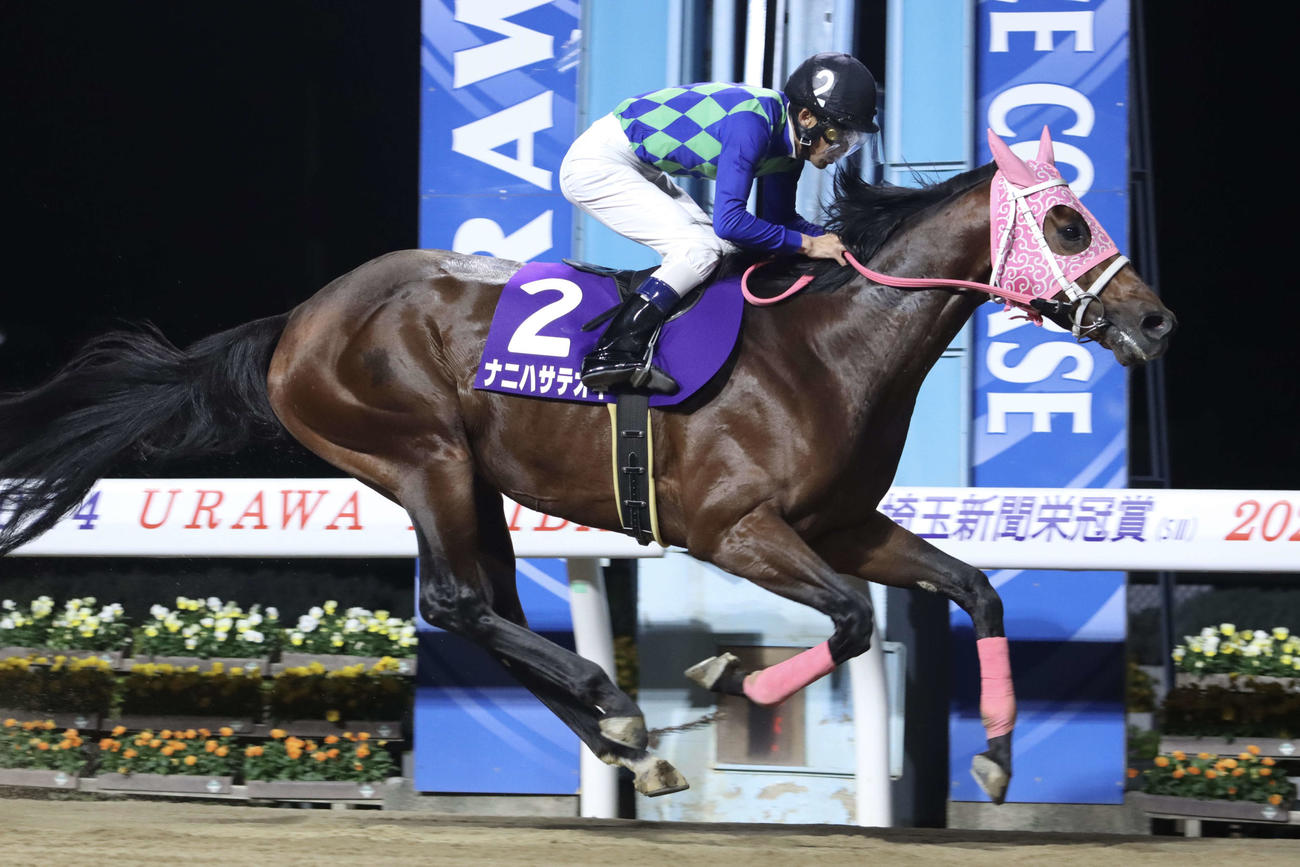 浦和11R、直線で抜け出し埼玉新聞栄冠賞を制したナニハサテオキと森泰斗騎手
