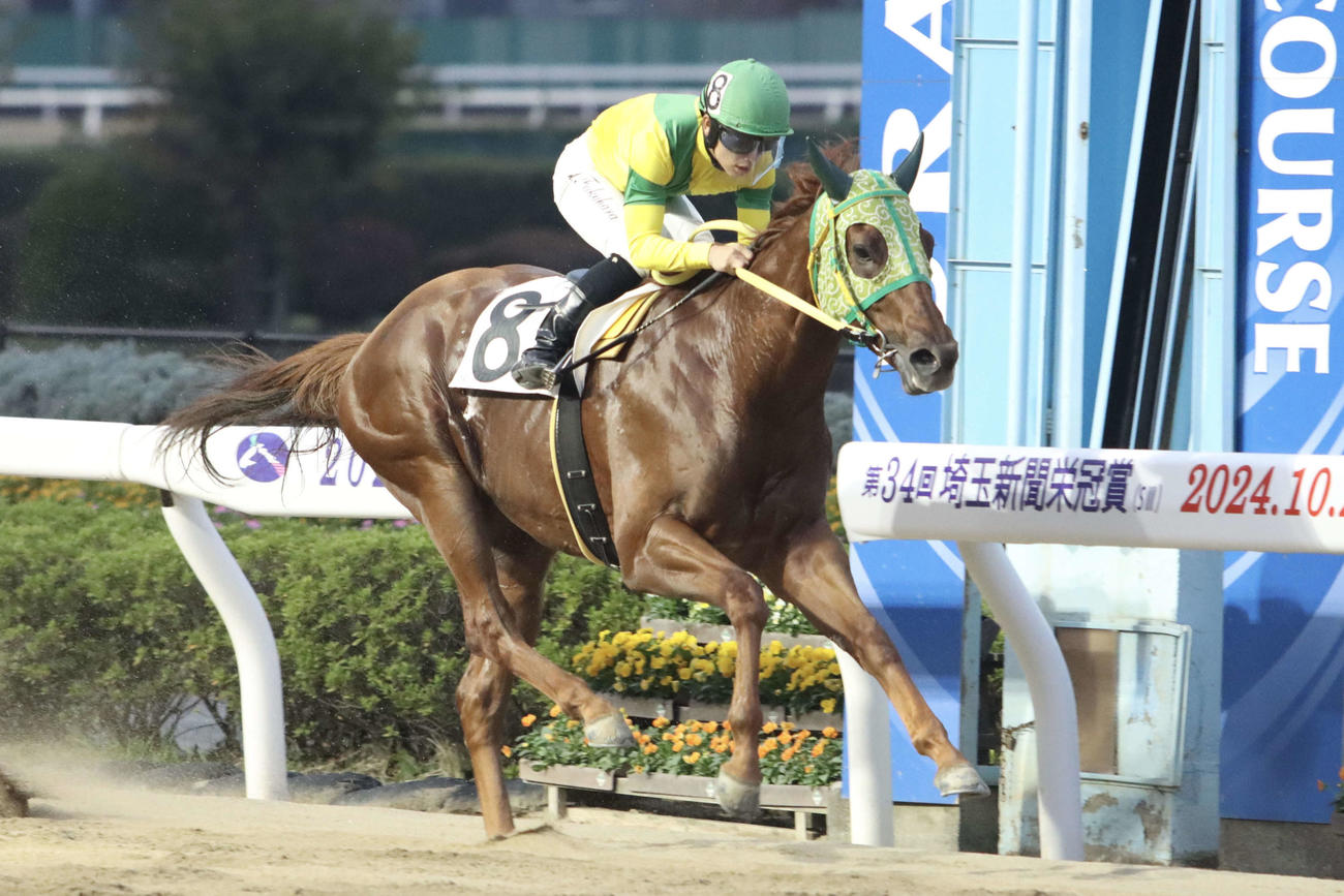 浦和9Rをハグレグモで制し、地方競馬通算300勝を達成した浦和の福原杏騎手