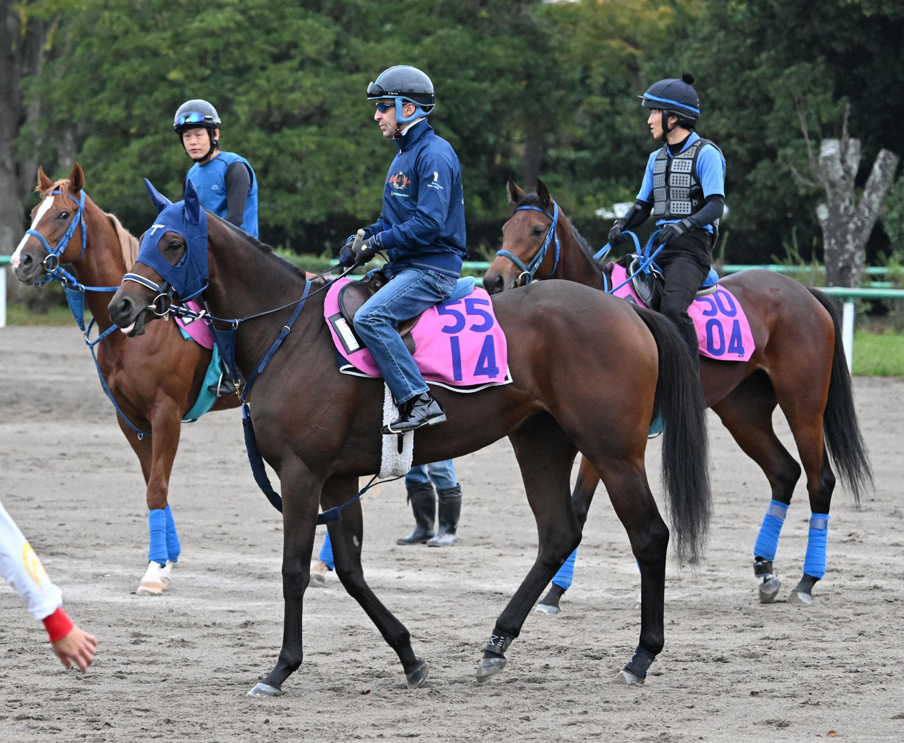 ルメール騎手を背に馬場に向かうブラウンラチェット（中央）（撮影・千葉一成）