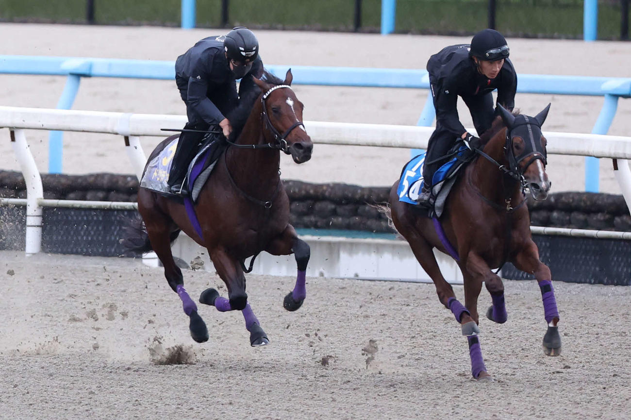 ドウデュース（左）はポリトラックをシヴァースと併せて追い切る（撮影・亀井直樹）