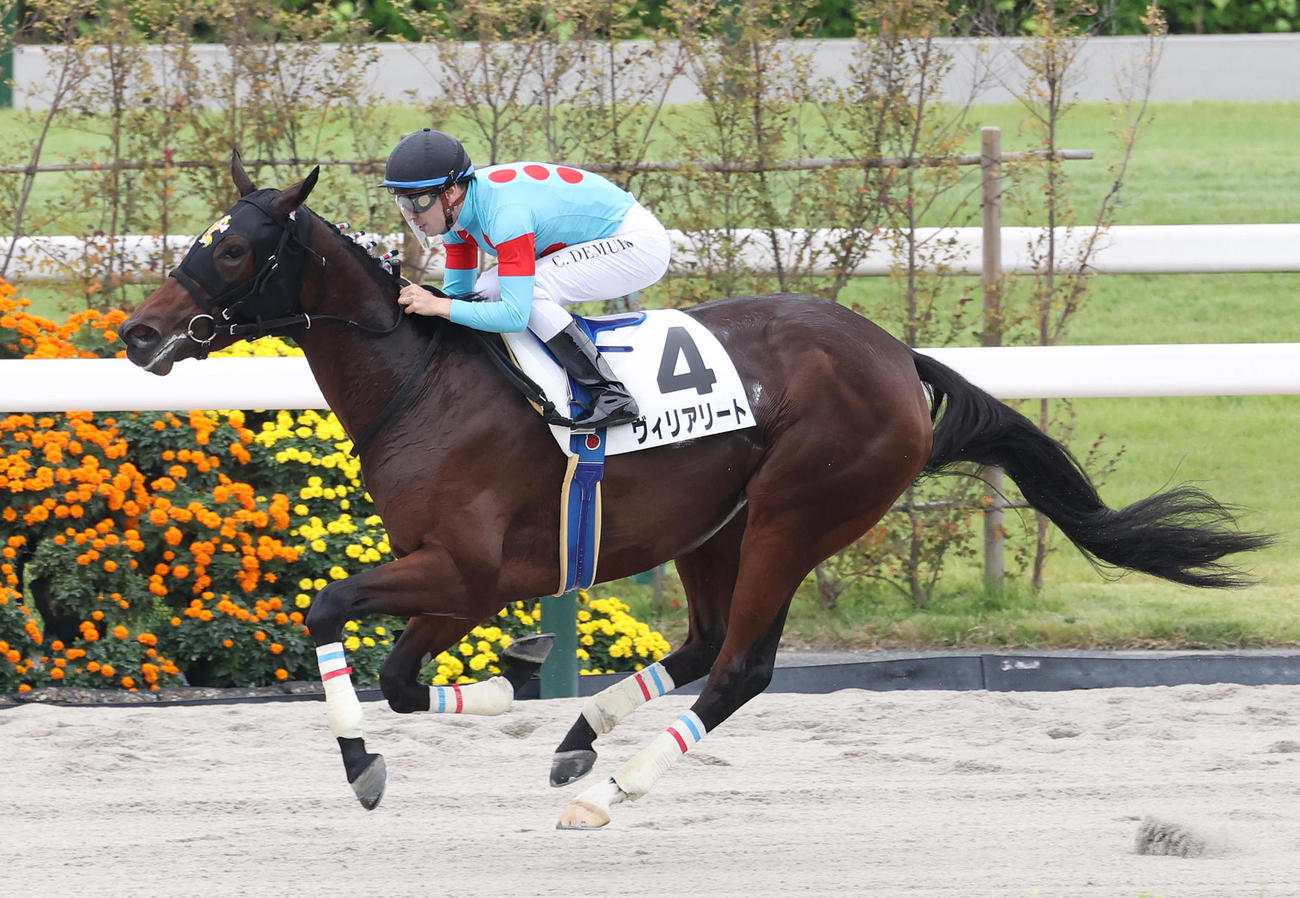京都4R、C・デムーロ騎手を背に2歳新馬戦を制したヴィリアリート（撮影・白石智彦）