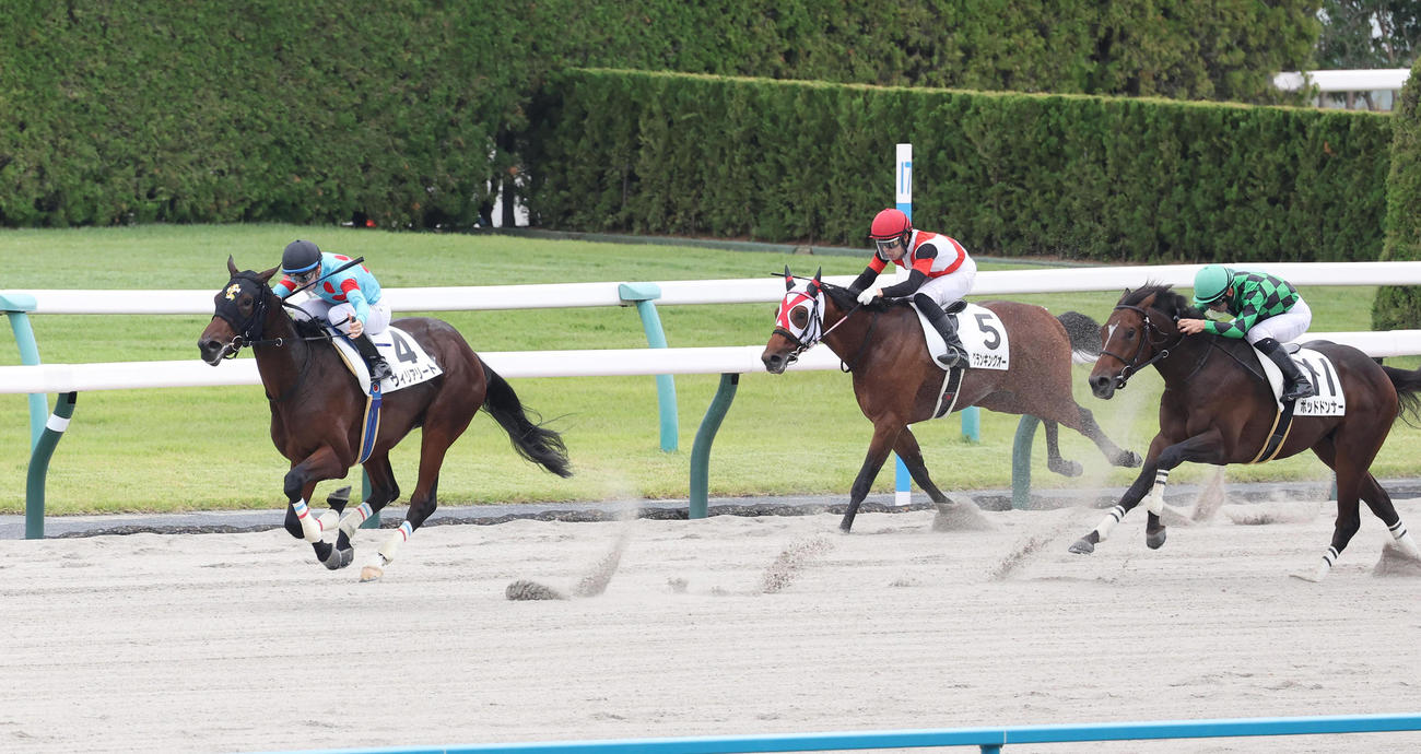 京都4R、C・デムーロ騎手を背に2歳新馬戦を制したヴィリアリート（左）（撮影・白石智彦）