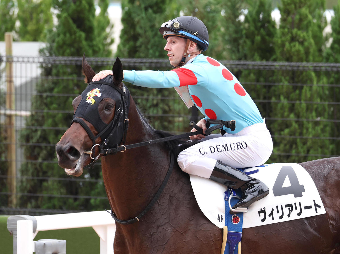 京都4R、C・デムーロ騎手を背に2歳新馬戦を制したヴィリアリート（撮影・白石智彦）