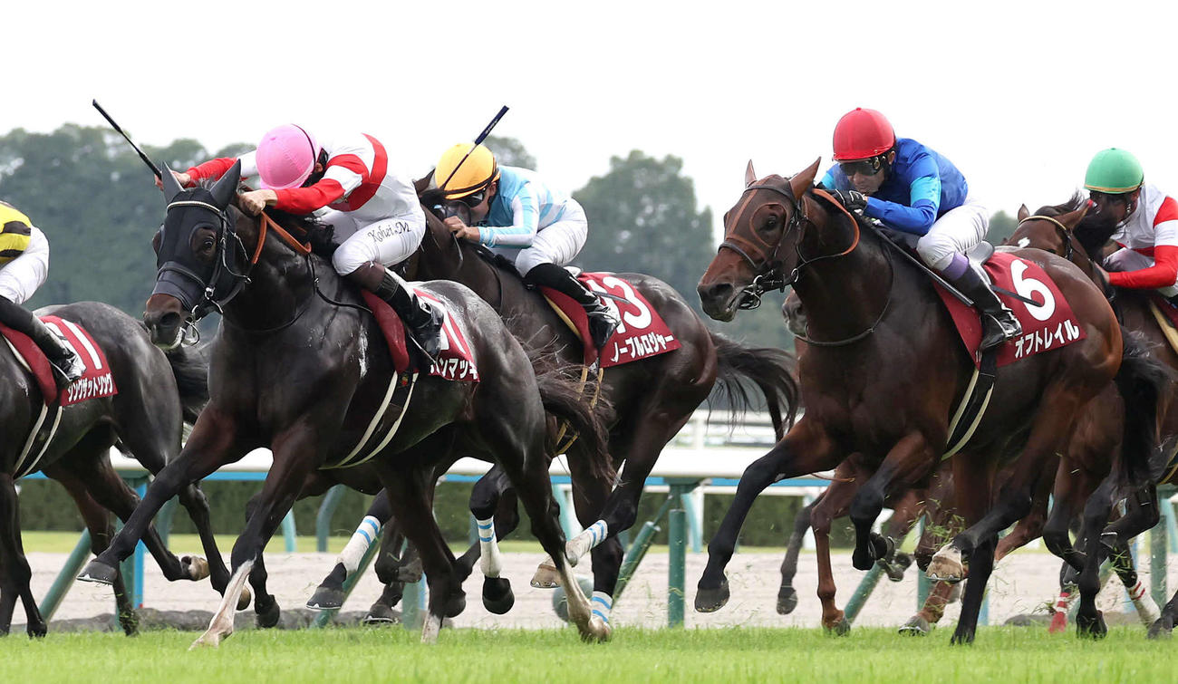 ダノンマッキンリー（左）が直線鋭く伸びてスワンSを制した。右は2着のオフトレイル
