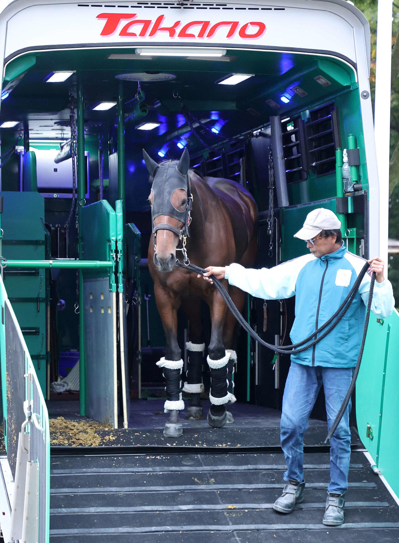 東京競馬場に到着したリバティアイランド（撮影・鈴木正人）