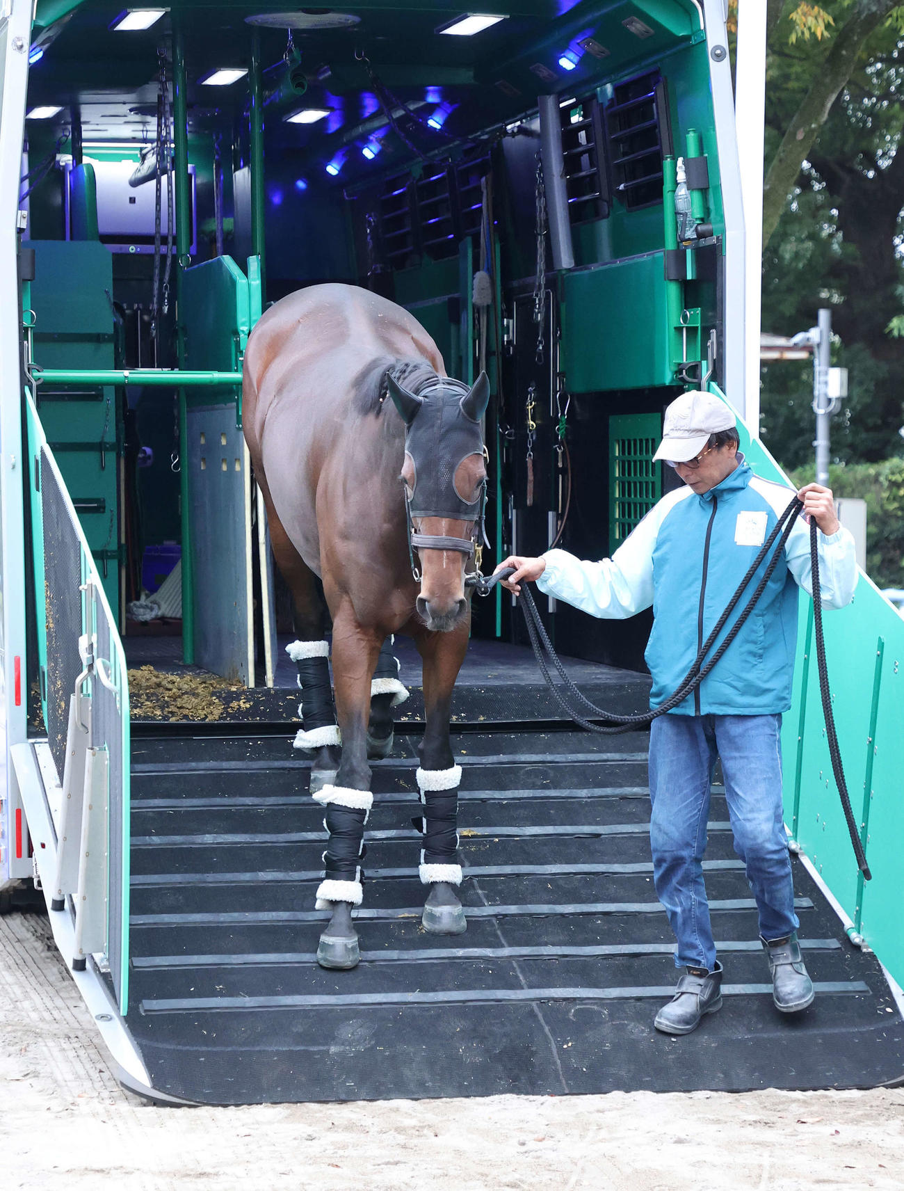 東京競馬場に到着したリバティアイランド（撮影・鈴木正人）