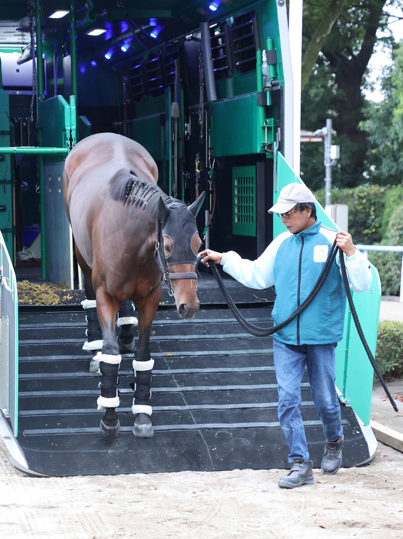 東京競馬場に到着したリバティアイランド（撮影・鈴木正人）