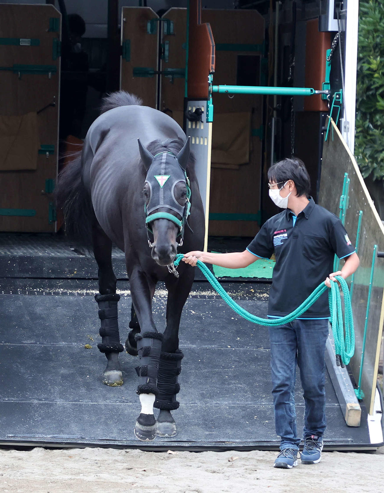 東京競馬場に到着したジャスティンパレス（撮影・鈴木正人）