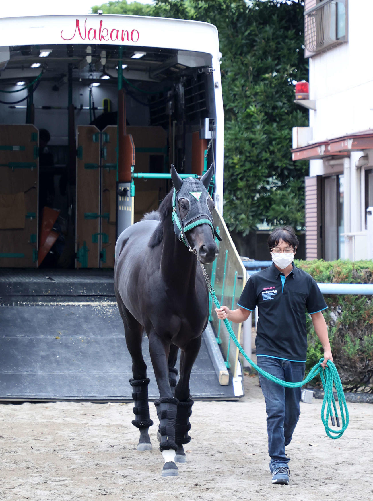 東京競馬場に到着したジャスティンパレス（撮影・鈴木正人）