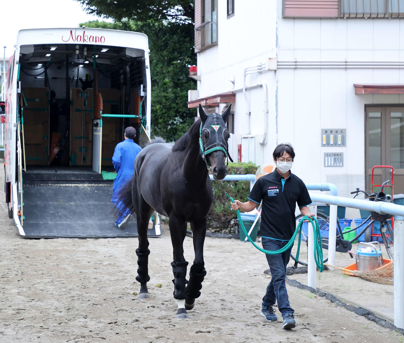東京競馬場に到着したジャスティンパレス（撮影・鈴木正人）