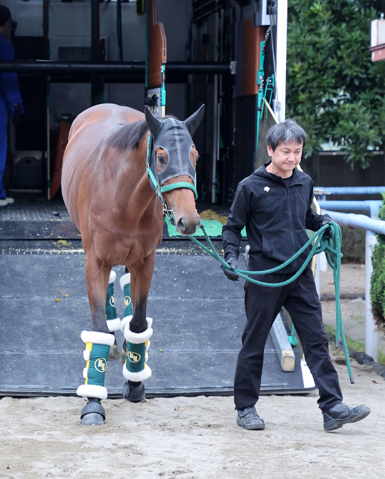東京競馬場に到着したベラジオオペラ（撮影・鈴木正人）