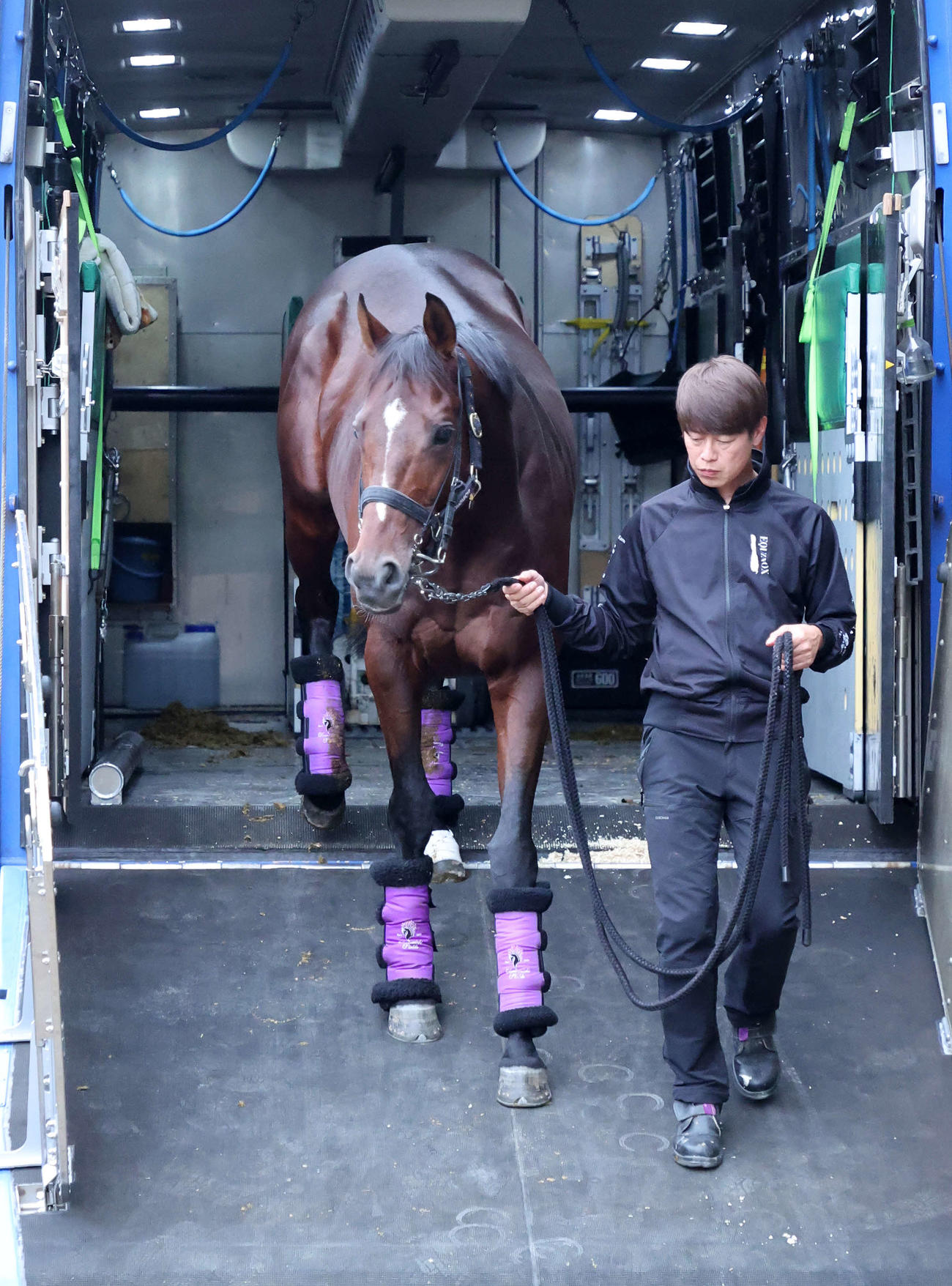 東京競馬場に到着したドウデュース（撮影・鈴木正人）