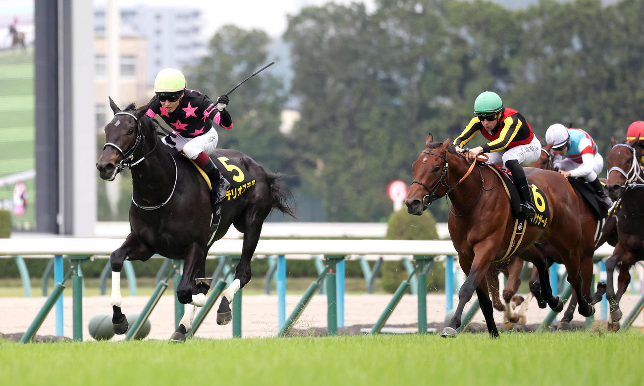 京都8R、逃げ切って萩Sを制したテリオスララ（左）（撮影・白石智彦）