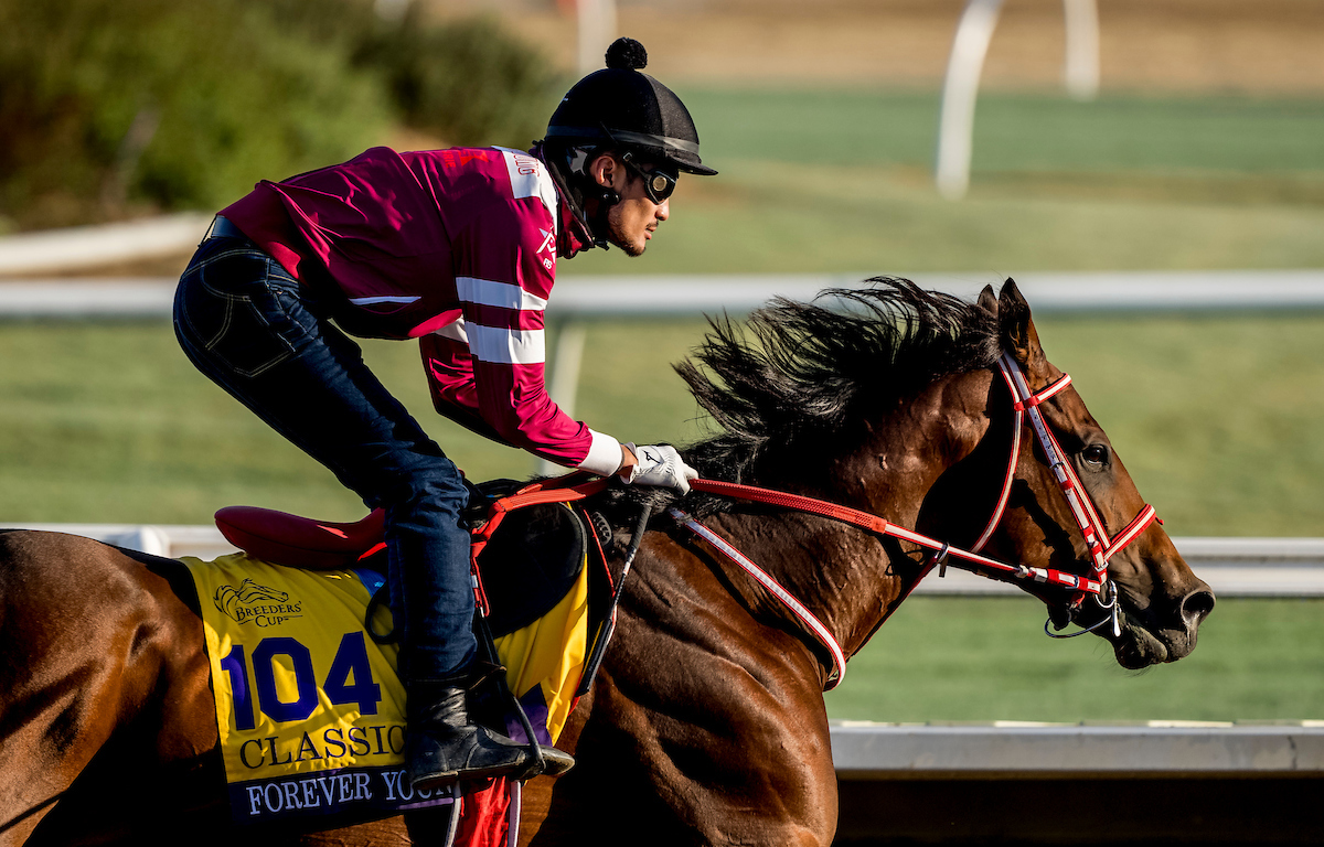 26日、調整するフォーエバーヤング（C）Scott　Serio／Eclip－se　Sportswire／Breeders　Cup