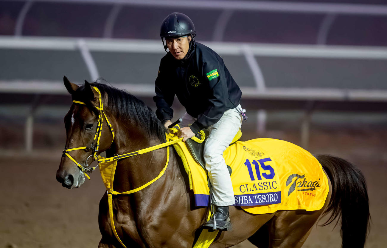 26日、デルマーで調整するウシュバテソーロ（C）Scott　Serio／Eclipse　Sportswire／Breeders　Cup