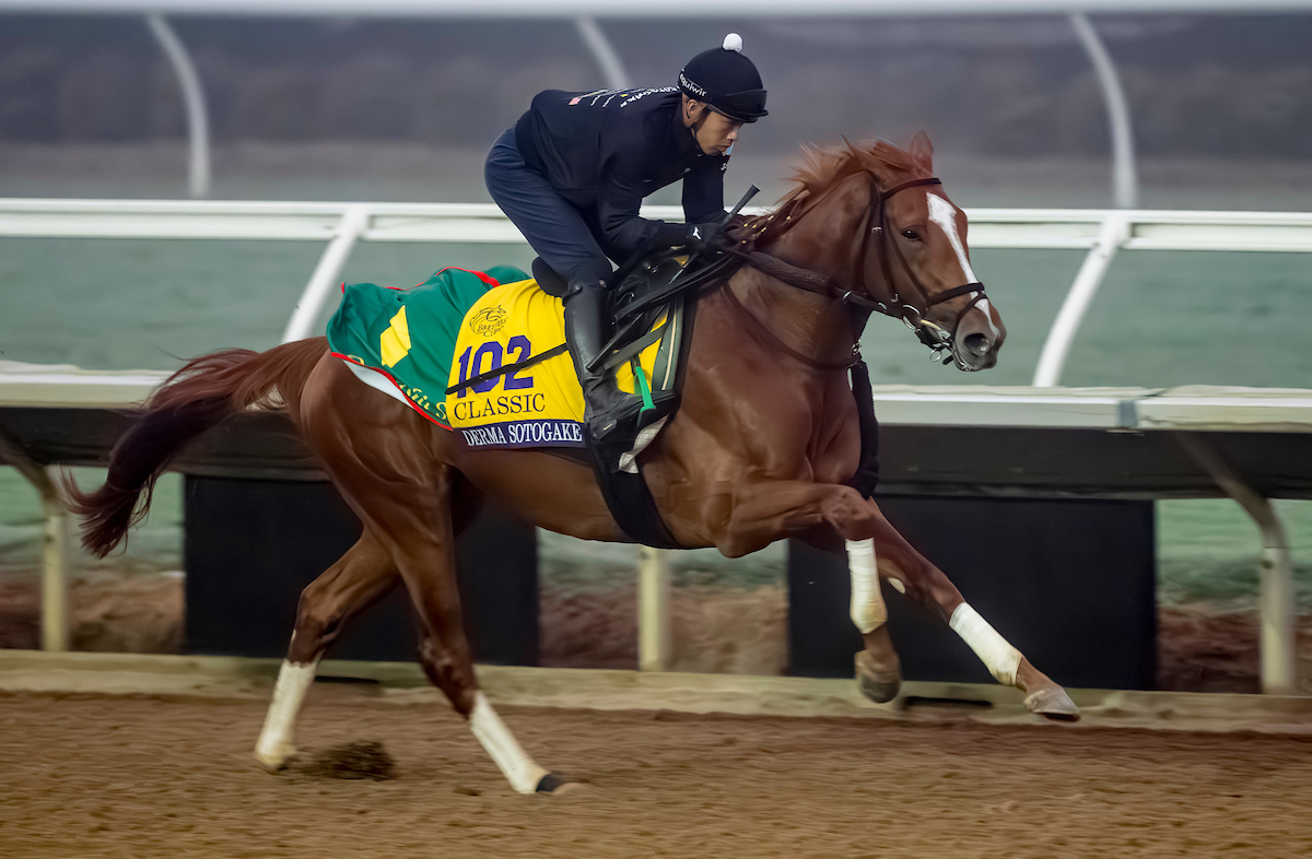 26日、馬場で調整するデルマソトガケ（C）Scott　Serio／Eclipse　Sportswire／Breeders　Cup
