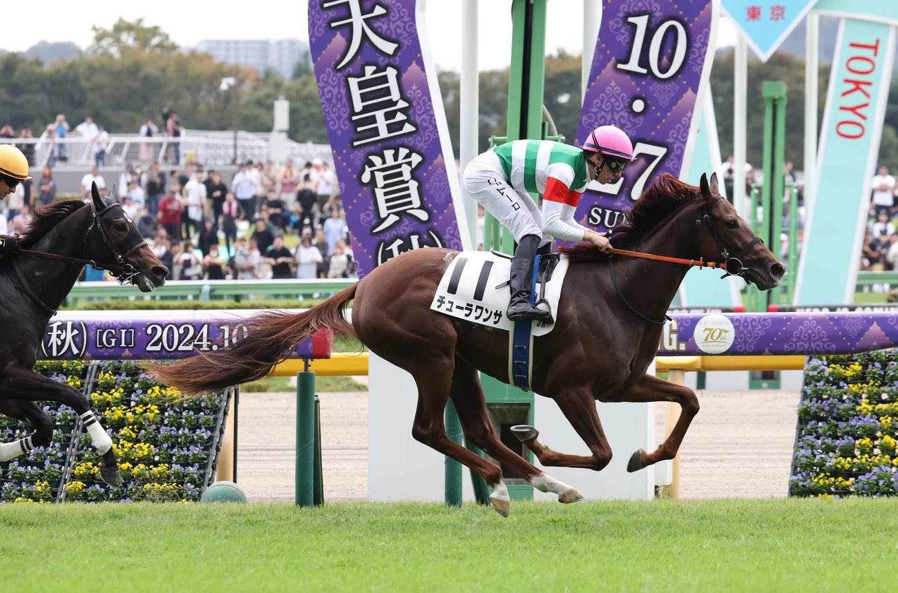 東京3R、2歳未勝利戦に勝利したチューラワンサとC・デムーロ騎手（撮影・丹羽敏通）