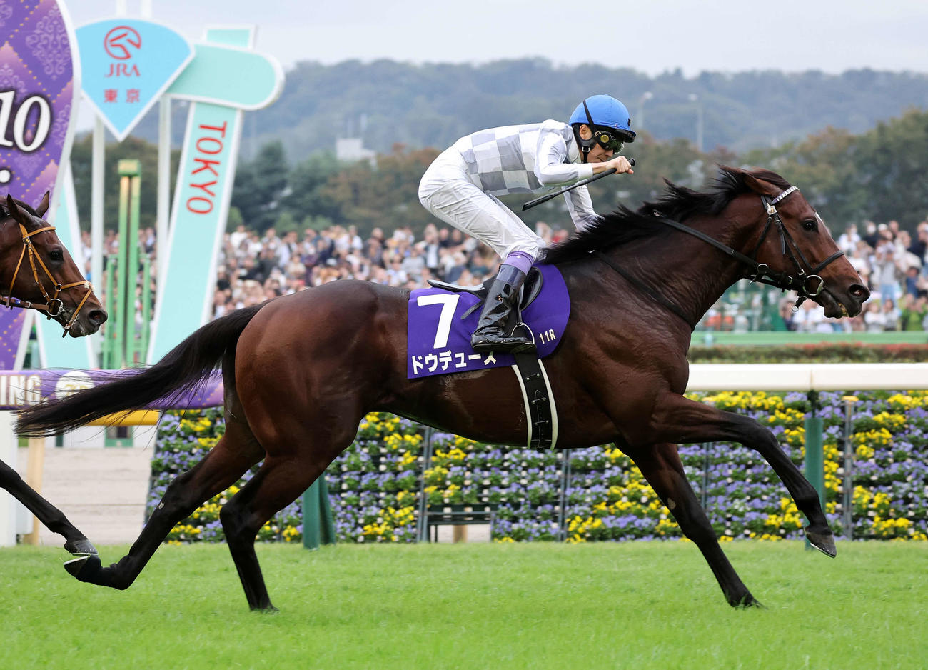 天皇賞・秋を制したドウデュースとガッツポーズする武豊騎手（撮影・鈴木正人）