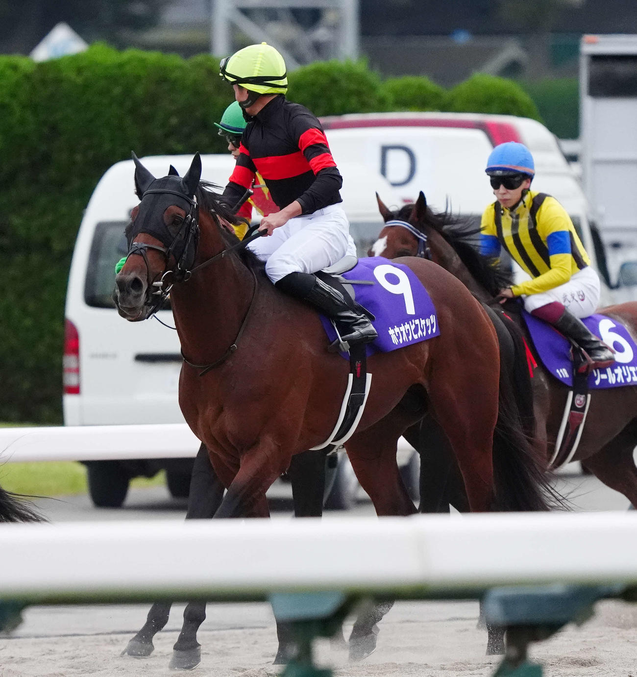 天皇賞・秋で3着になったホウオウビスケッツと岩田望騎手（撮影・丹羽敏通）