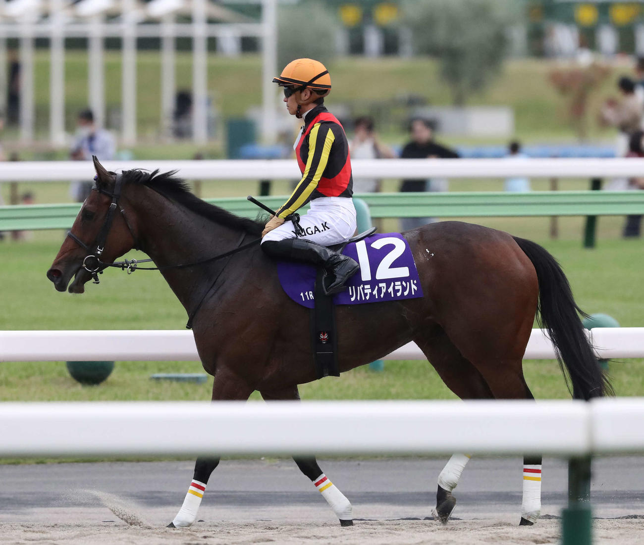 1番人気も13着に敗れたリバティアイランドと川田騎手（撮影・丹羽敏通）