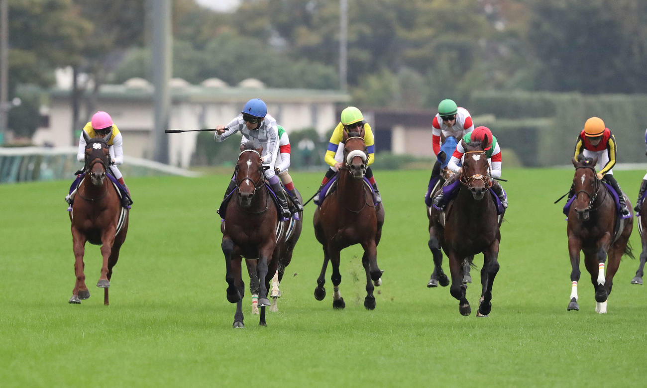 天皇賞・秋、1番人気で13着に敗れたリバティアイランド（右端）（撮影・丹羽敏通）
