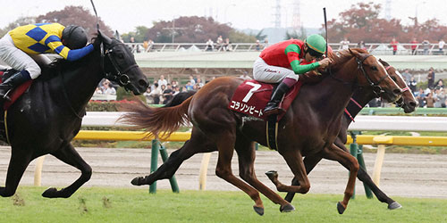 京王杯2歳Sを制したコラソンビートと横山武騎手（撮影・丹羽敏通）＝2023年11月4日、東京競馬場