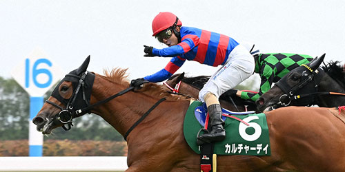 ファンタジーSをカルチャーデイで制した酒井学騎手はガッツポーズ（撮影・前岡正明）＝2023年11月4日、京都競馬場