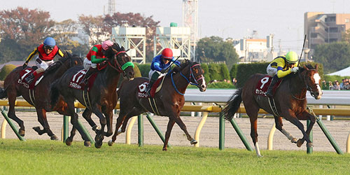 AR共和国杯】クロミナンス今回こそ決める／今週の注目レース - 競馬