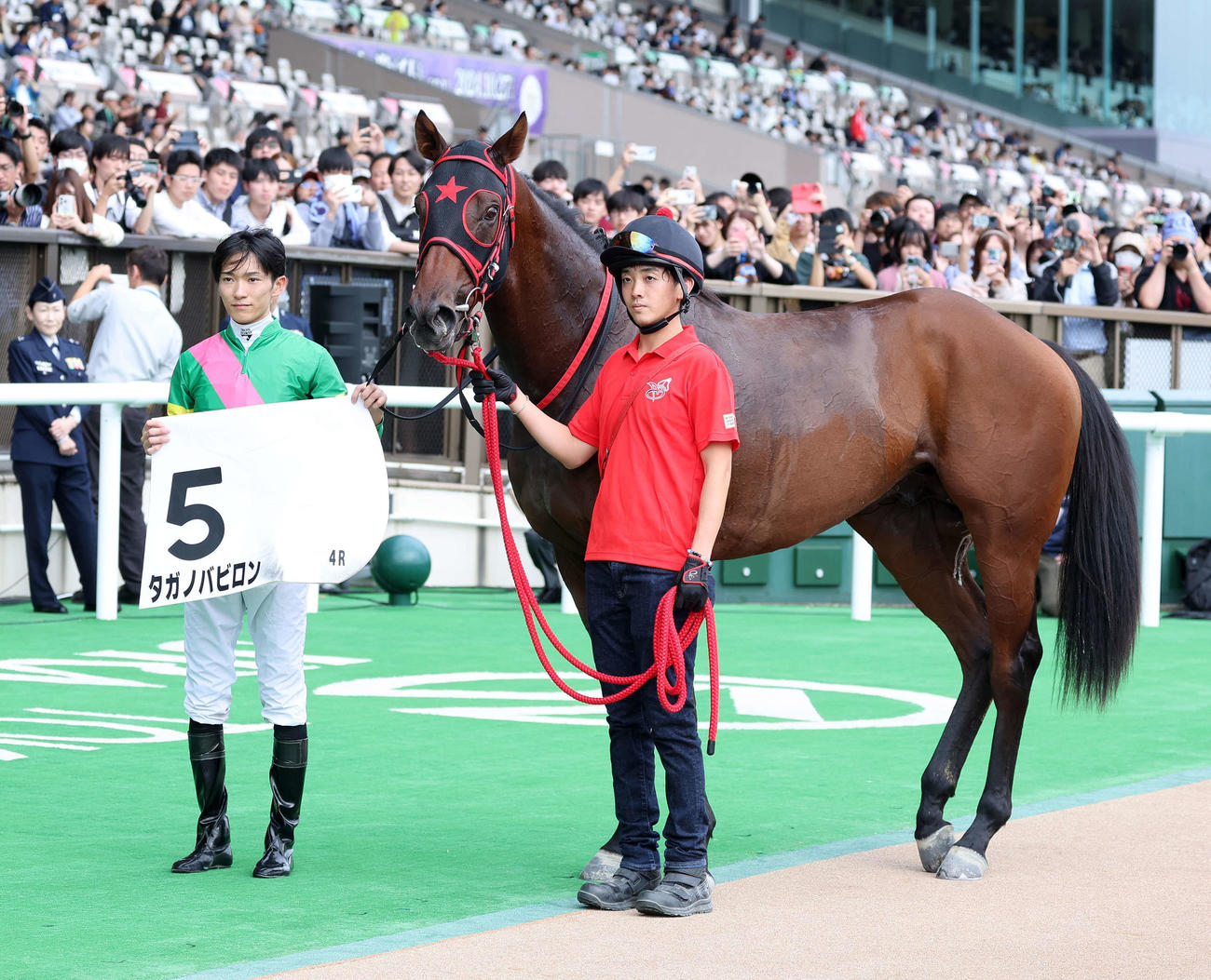 新馬戦を制したタガノバビロンと坂井騎手（撮影・鈴木正人）