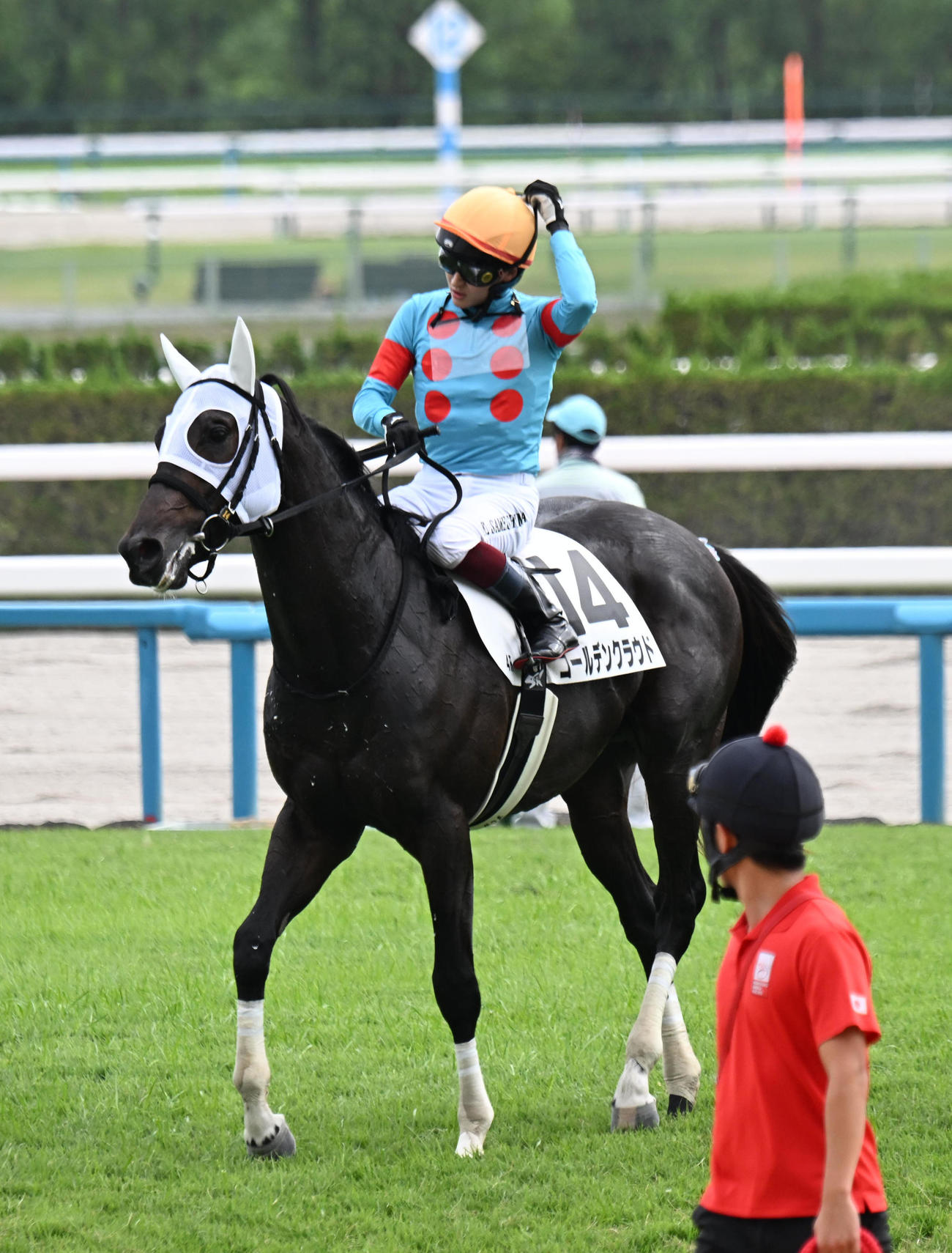 新馬戦に勝利したゴールデンクラウド（撮影・和賀正仁）
