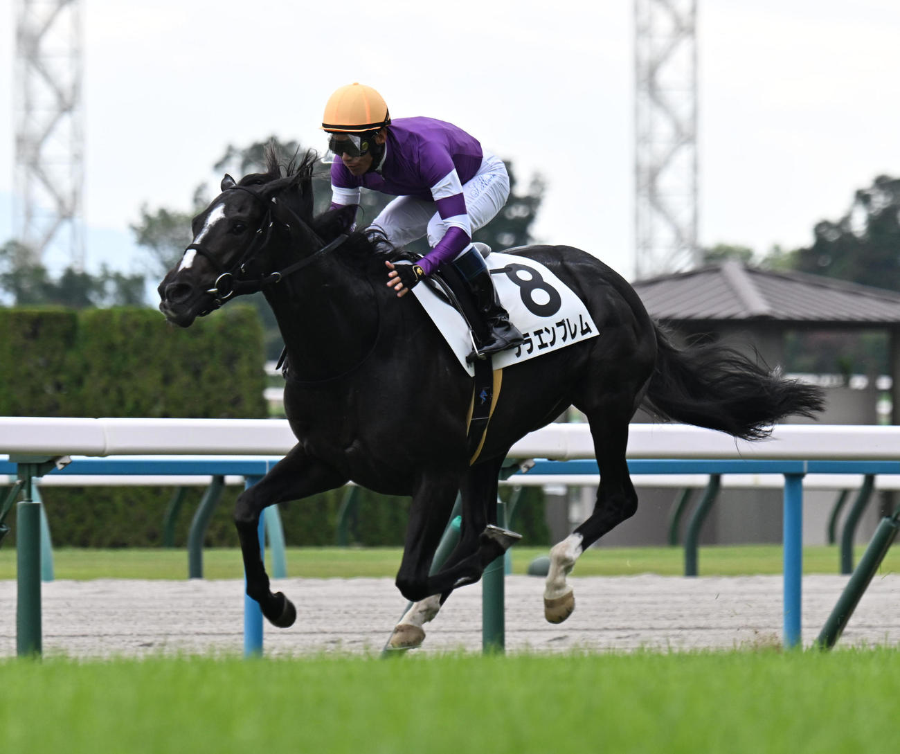 直線で抜け出し新馬戦を制したリラエンブレム（撮影・和賀正仁）