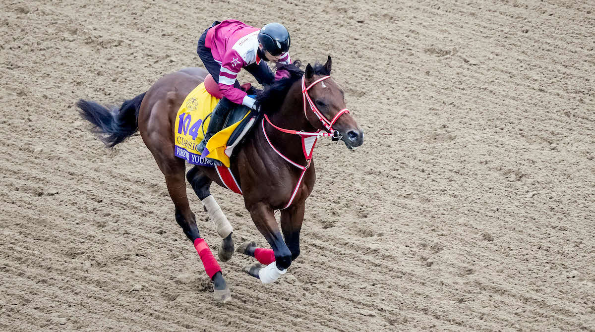 坂井騎手を背に調整するフォーエバーヤング（（C）Scott Serio／Eclipse Sportswire／Breeders Cup）
