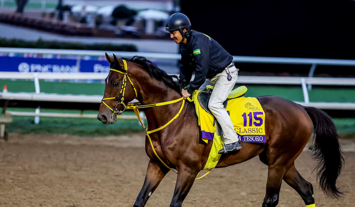 28日、調教を行うウシュバテソーロ（（C）Tim Sudduth／Eclipse Sportswire／Breeders Cup）