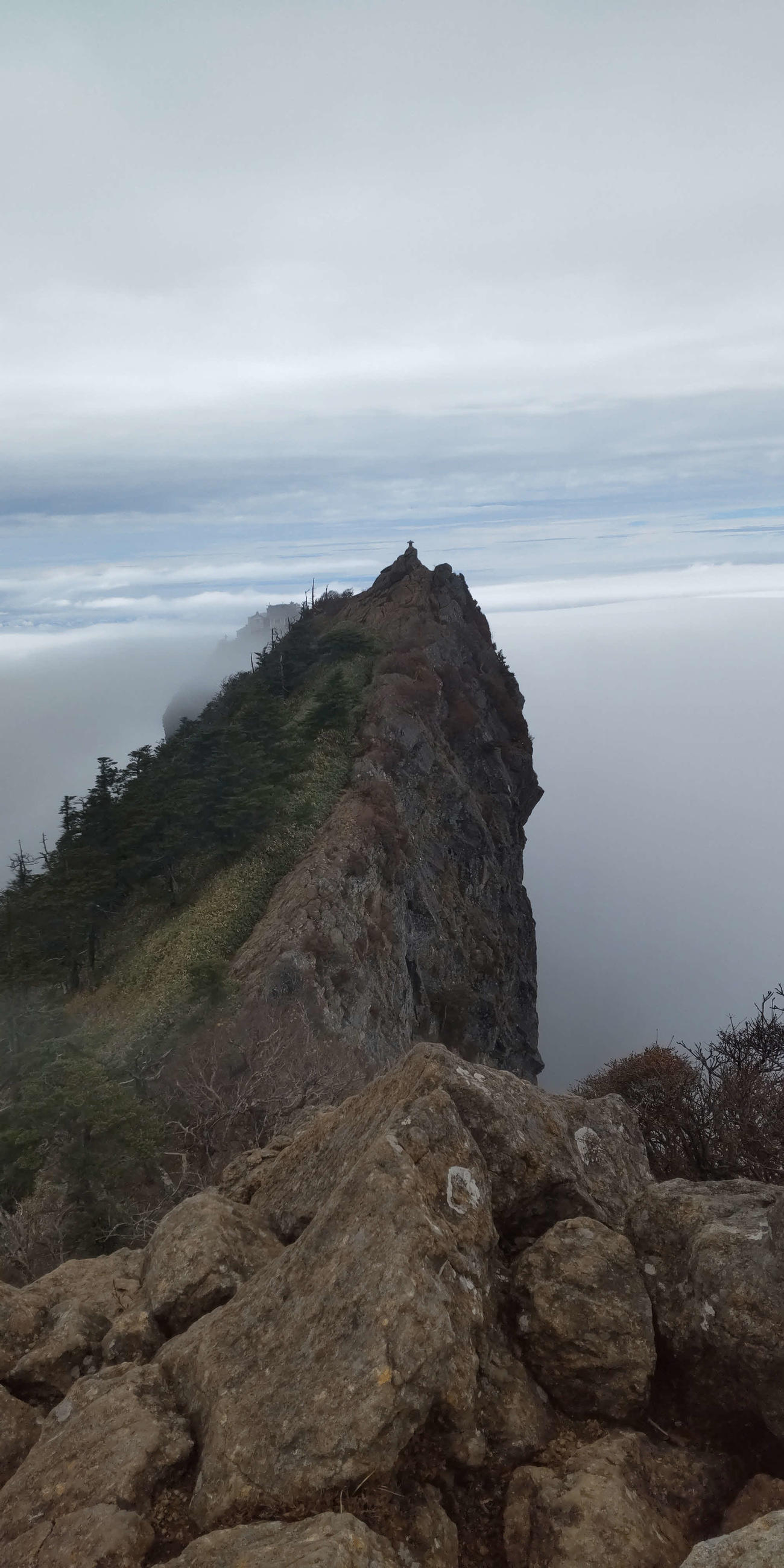 前方に見えるのが石鎚山の天狗岳（撮影・木南友輔）