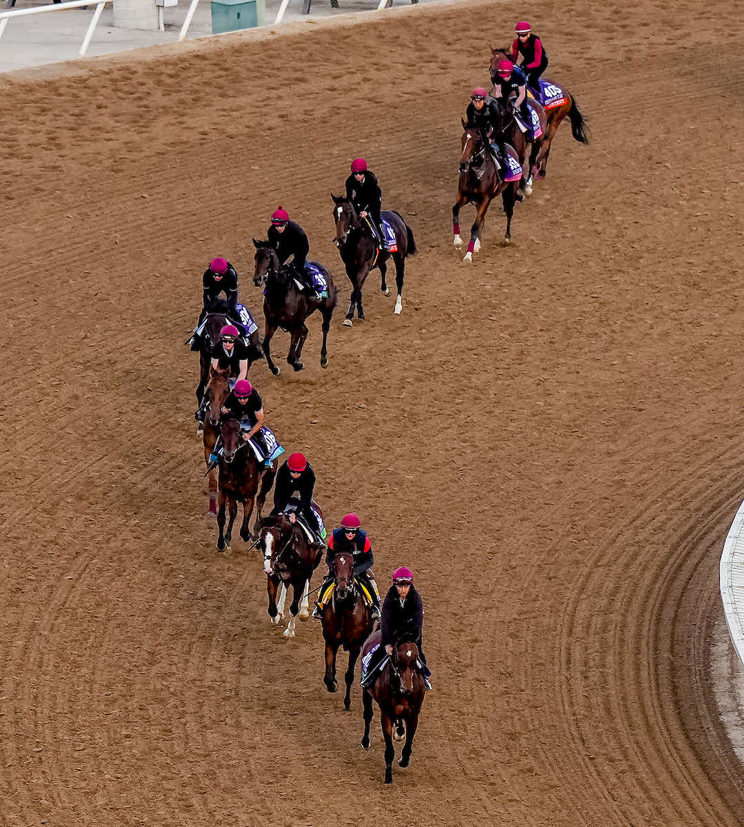 29日朝、A・オブライエン厩舎の隊列（C）Scott Serio／Eclipse Sportswire／Breeders Cup